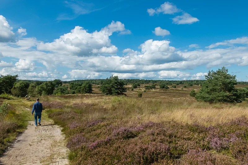 Uferweg an der Luhe bei Putensen