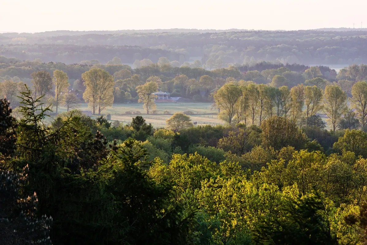 Aussichtsturm auf dem Paaschberg
